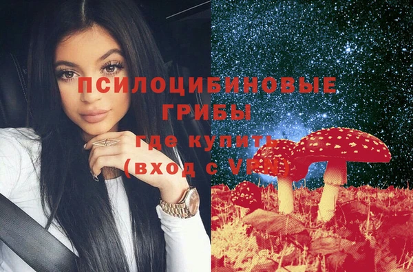 2c-b Алзамай